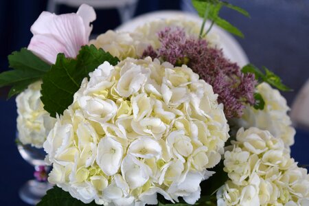 Floral arrangement photo