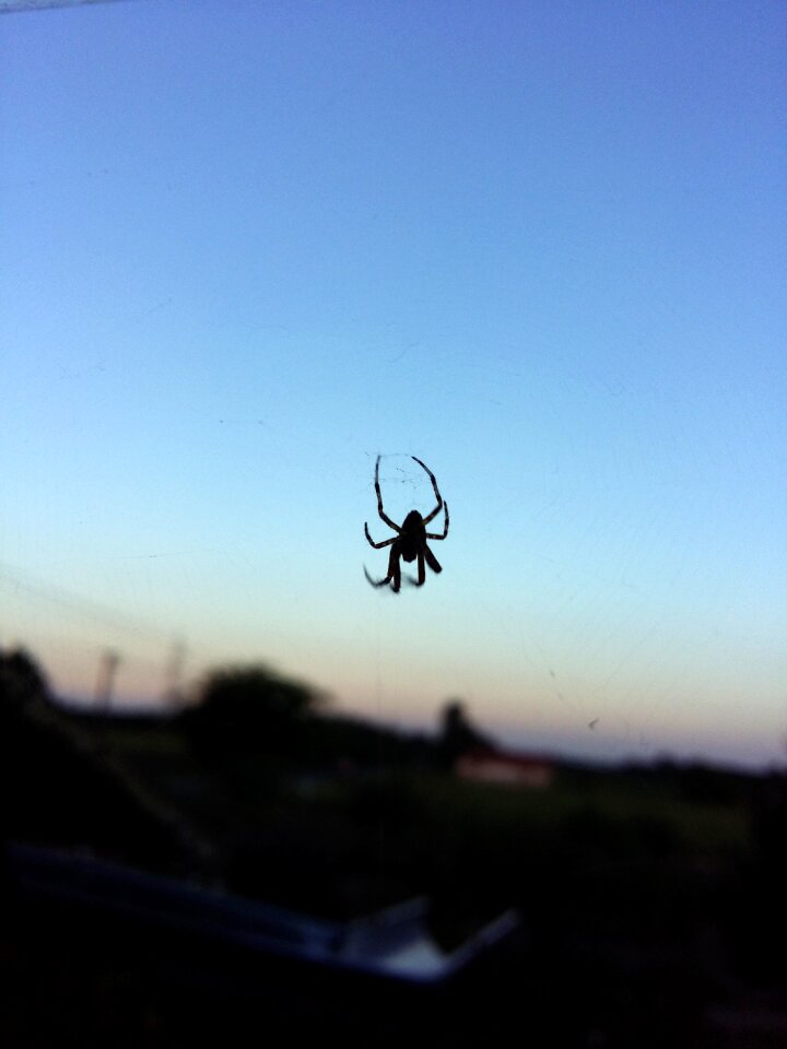 Morning light sunrise web