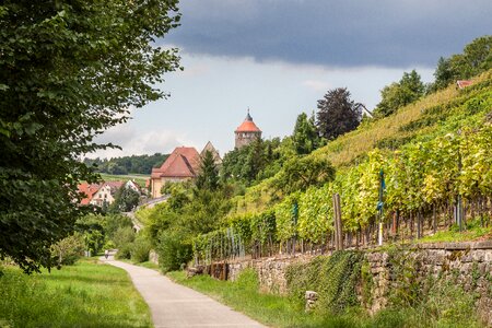 Vineyard swabia historic center