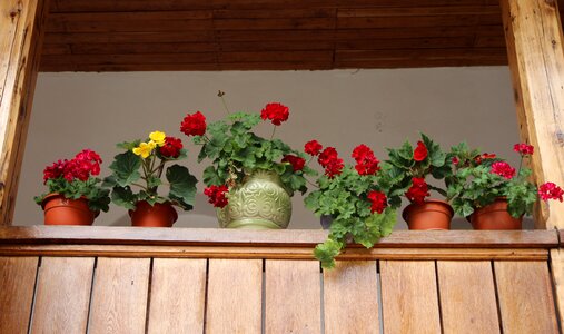 Window rustic arrangement photo
