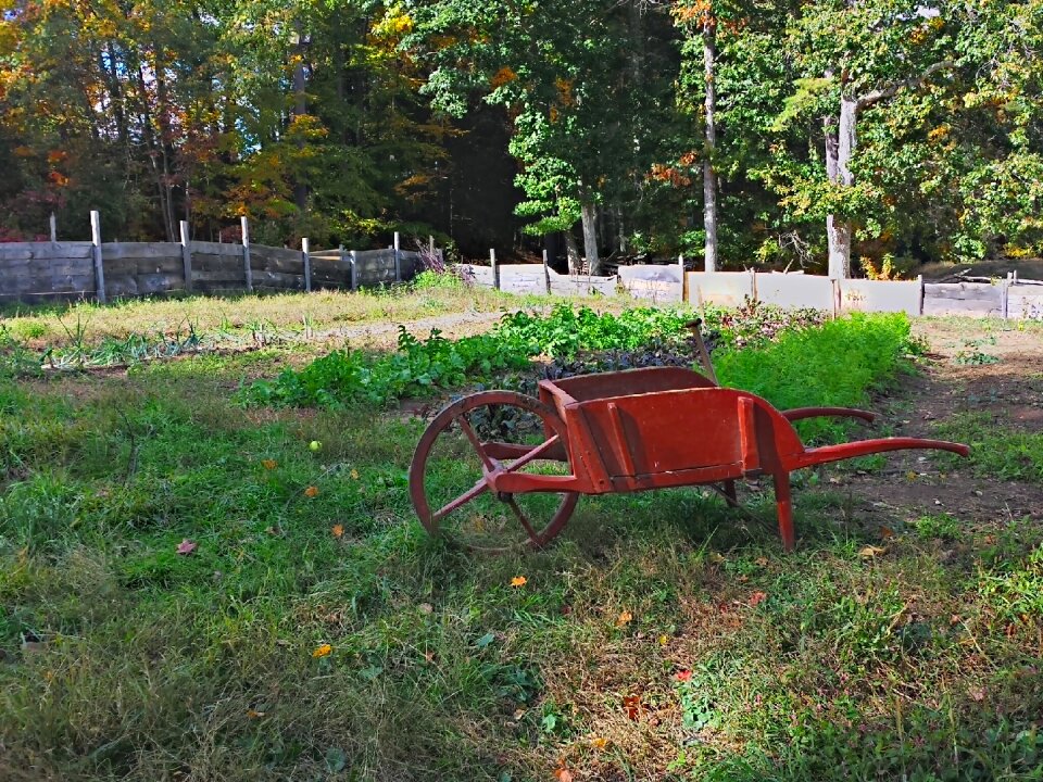Wheelbarrow farm