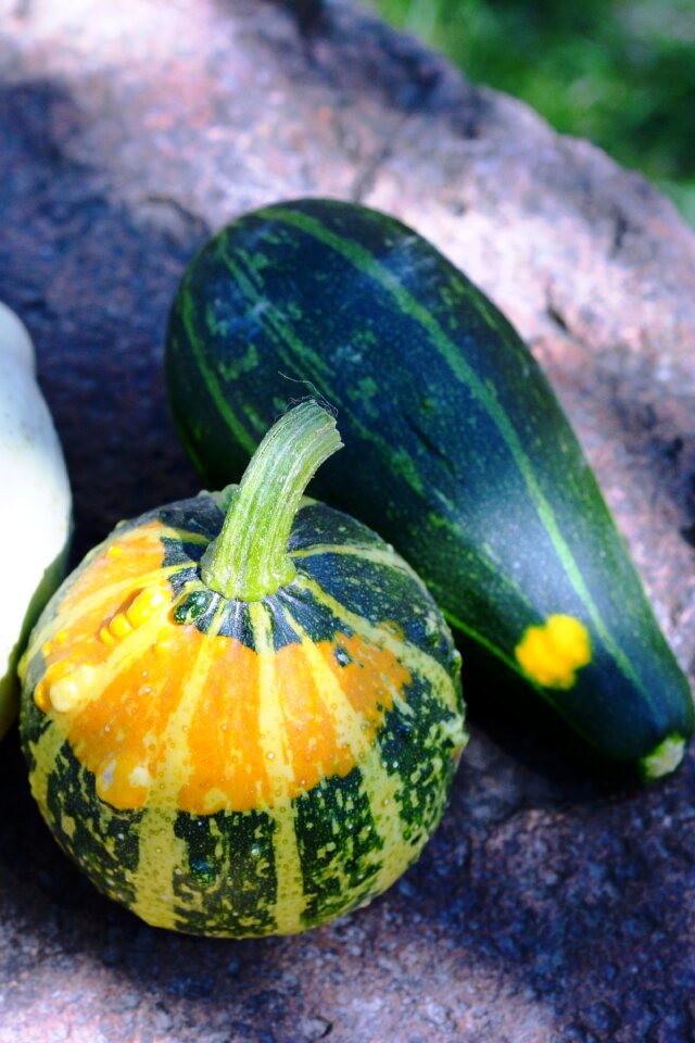 Collect nature the cultivation of