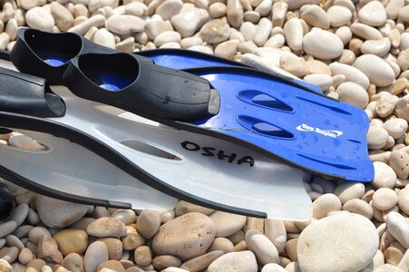 Diving snorkeling water sports