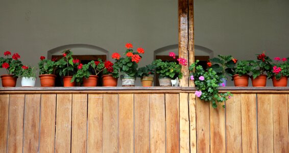 Window rustic arrangement
