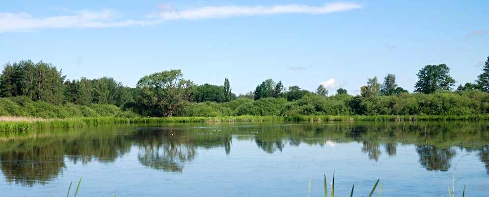 Mirroring the landscape level sky trees photo