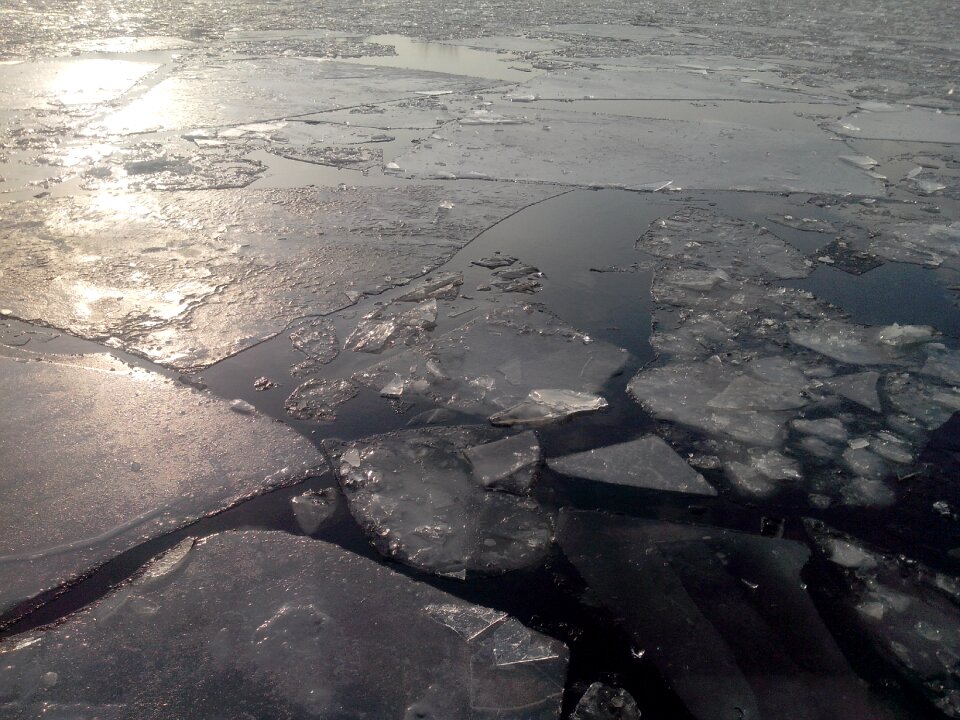 Ice floes sun nature