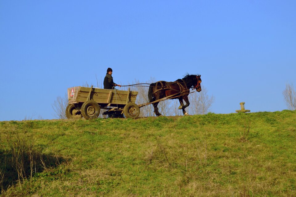Nature summer farming
