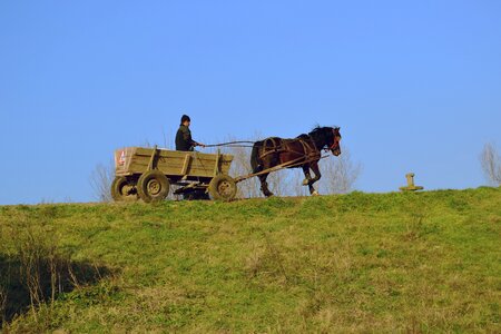 Nature summer farming