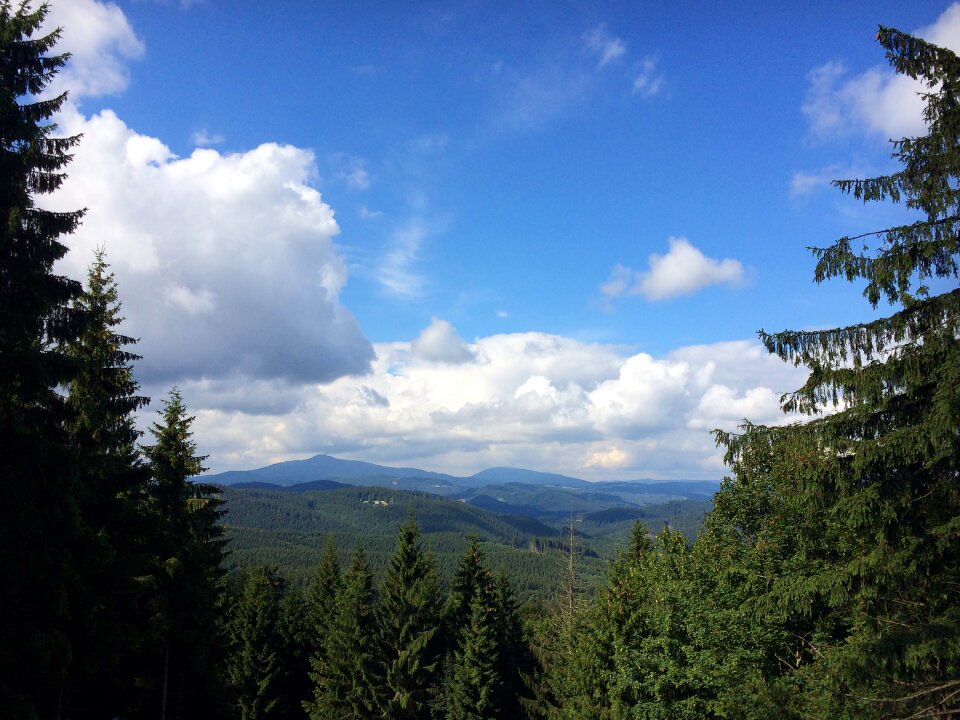 Clouds heaven forest
