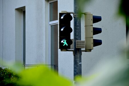Males green go
