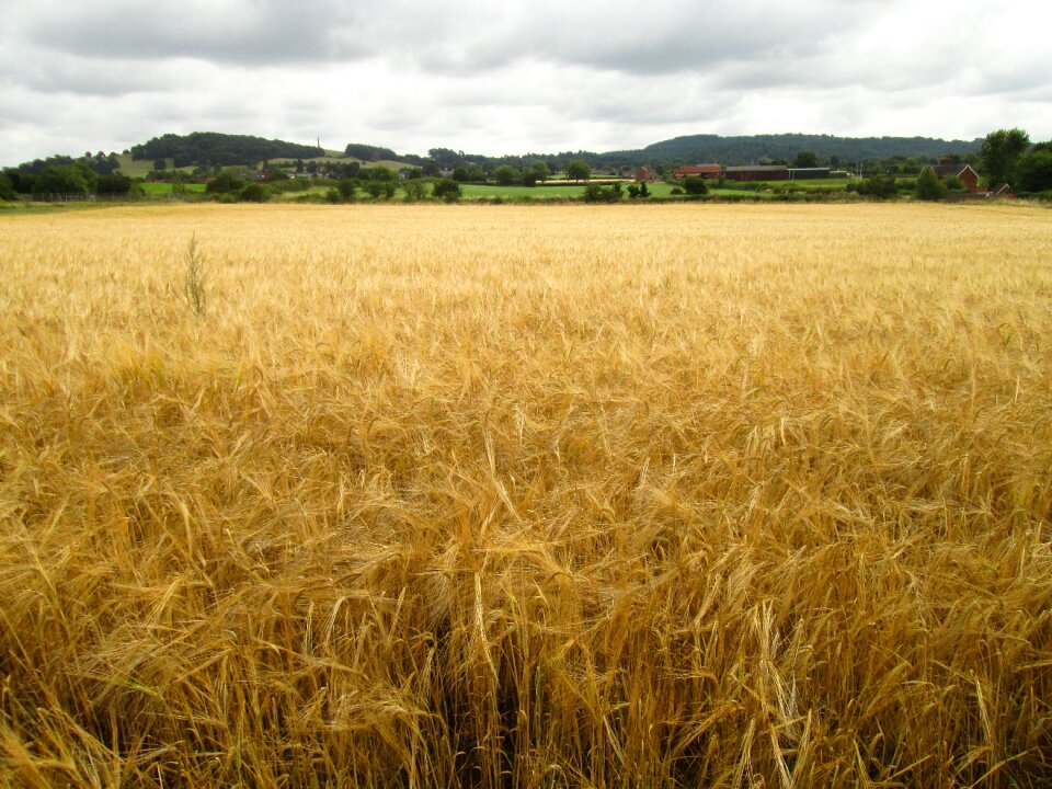 Landscape farming countryside