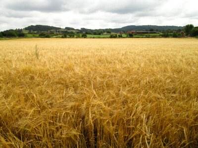 Landscape farming countryside