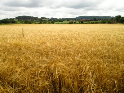 Landscape farming countryside photo