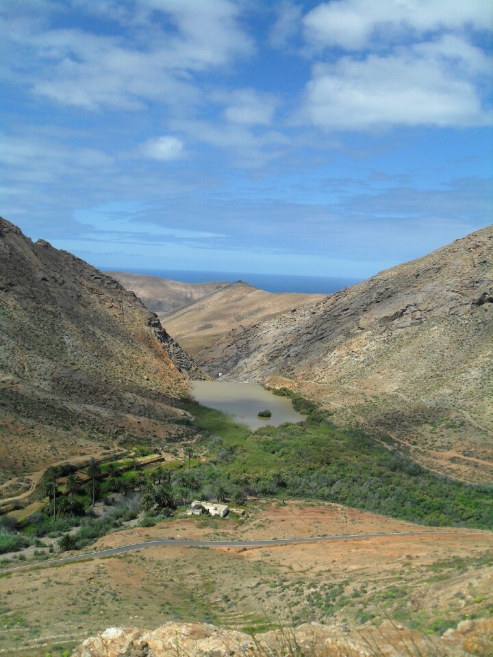 Fuerteventura spring landscape