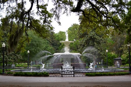 Historic district tourism forsyth park