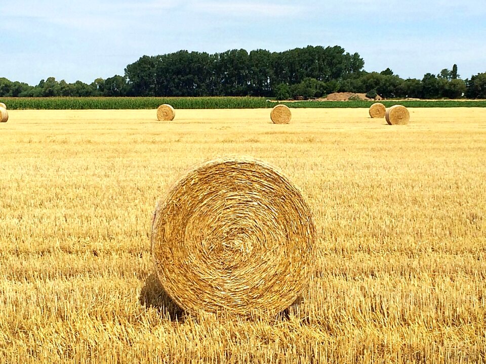 Straw box stubble straw role