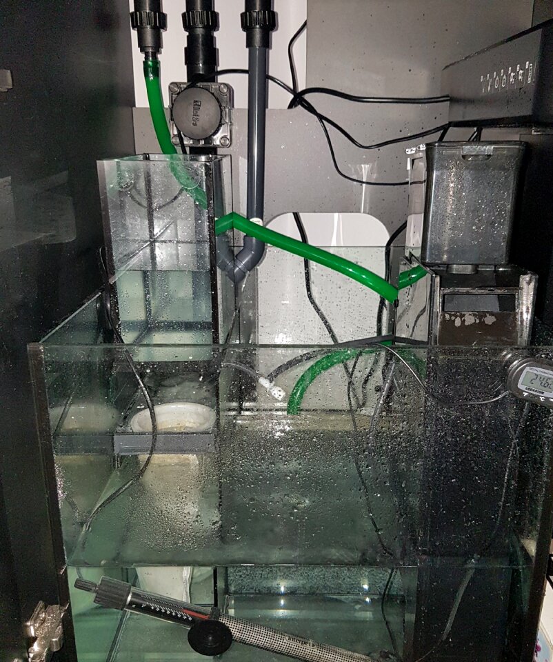 Filter tank red sea