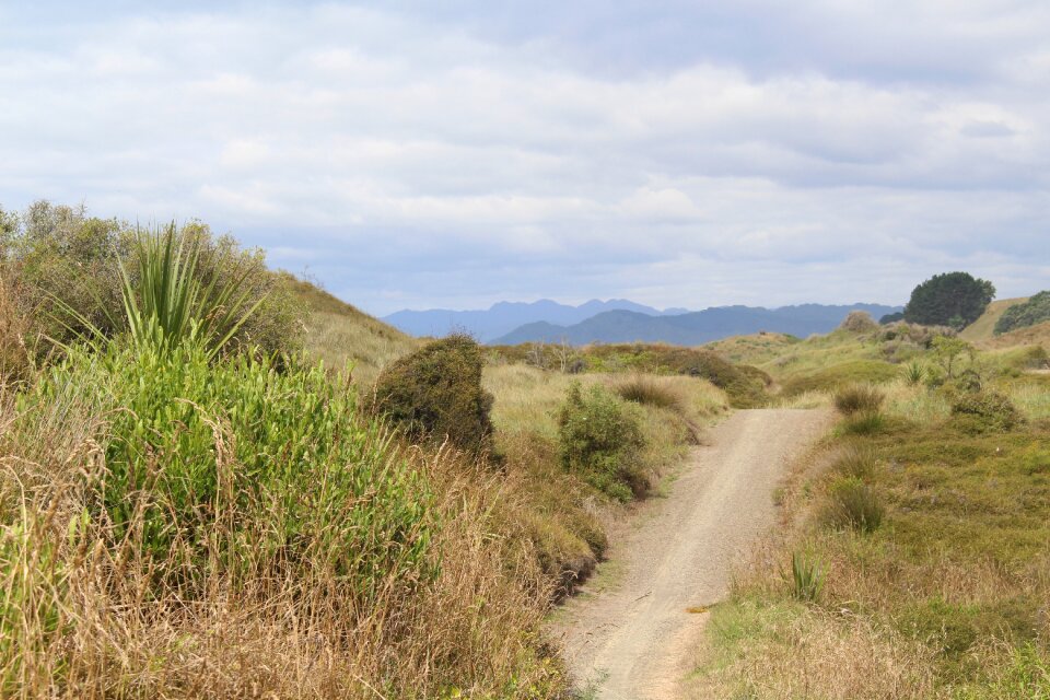 Trail dunes landscape