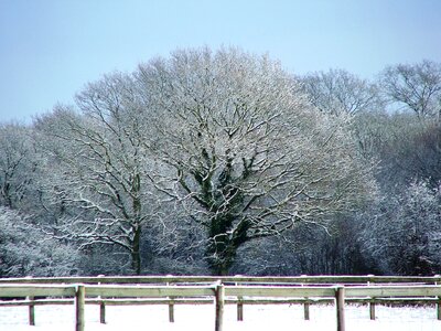 Winter england nature photo