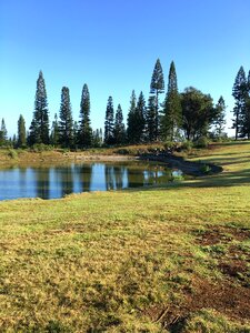 Hawaiian nature landscape