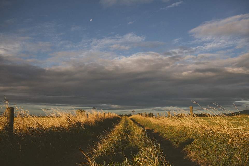 Path fields agriculture photo