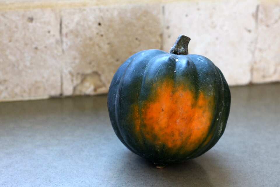 Organic vegetable plant