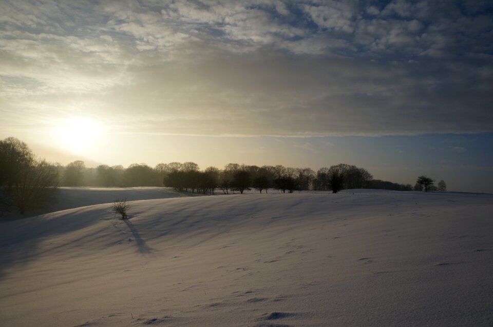 Landscape white frost