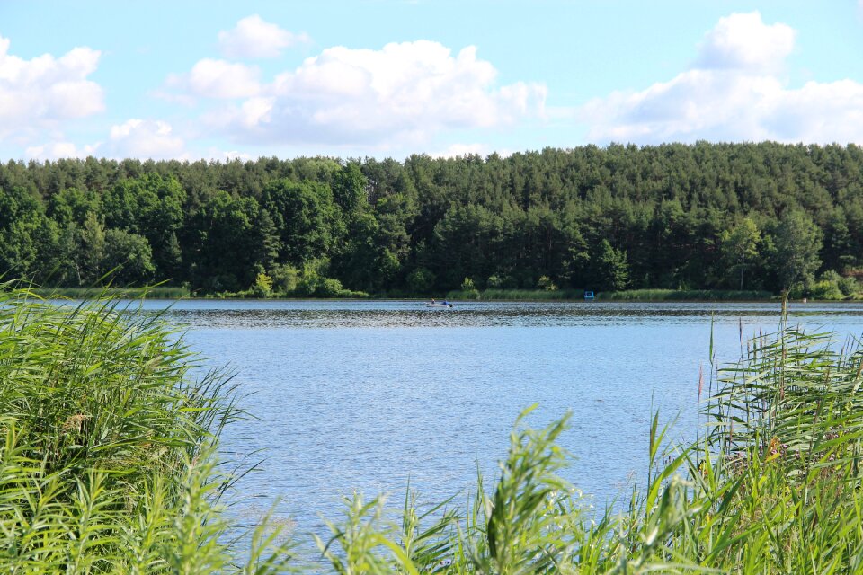 Poland river nature