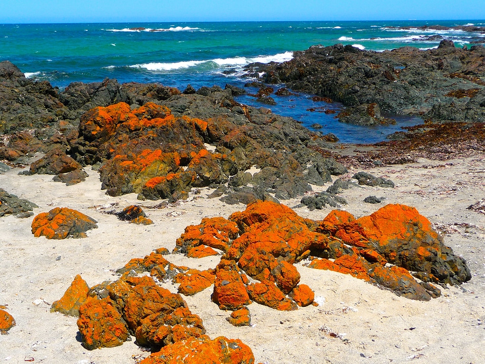 Landscape shoreline rocks photo