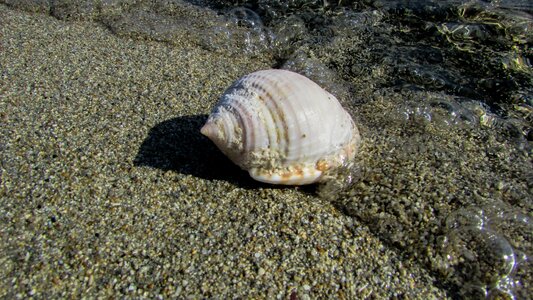 Sand summer water