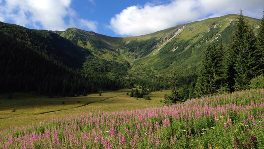 The high tatras landscape nature