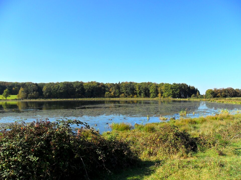 Waters vulkaneifel landscape