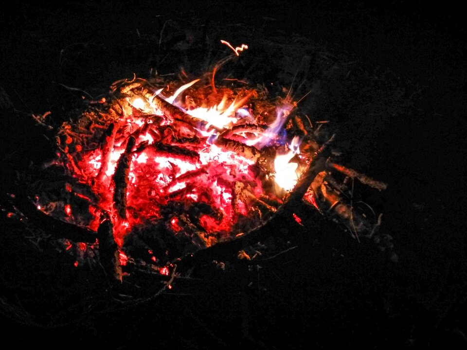 Flames forest the darkness