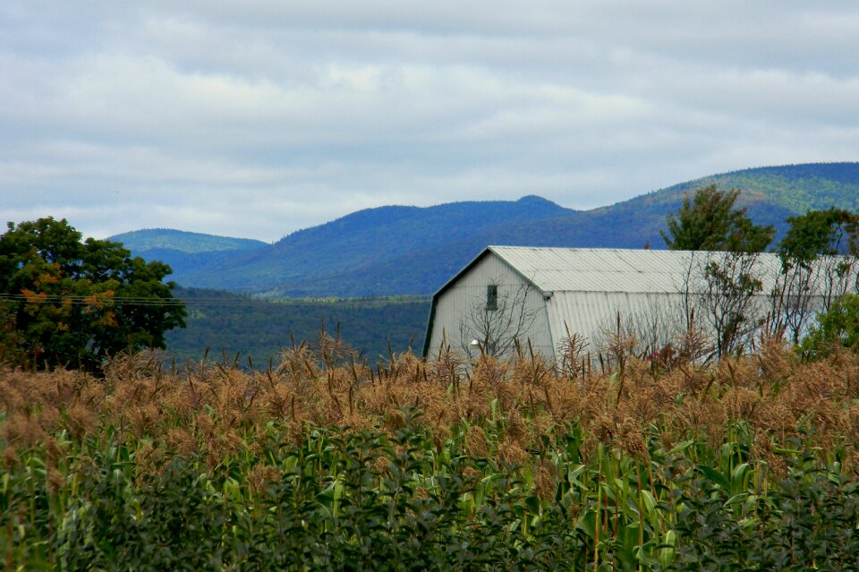 Rustic building prairie agriculture