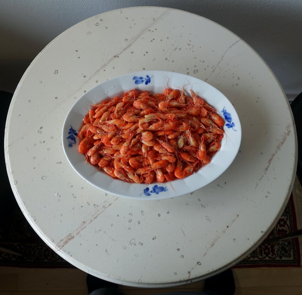 Food dining seafood