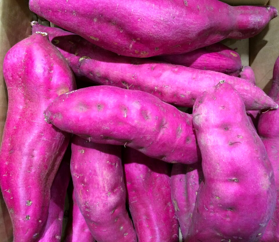 Living supermarket fruits and vegetables