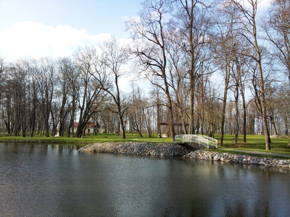 Evening lake nature