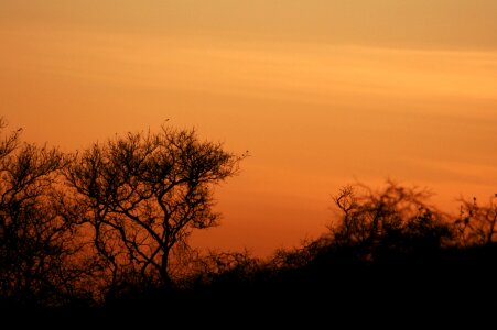 Sol sertao brazil