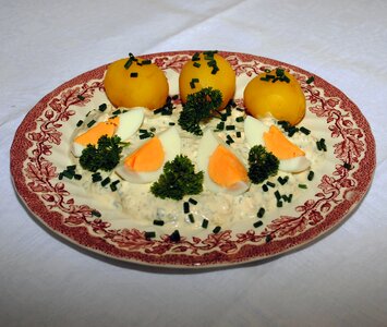 Egg food eat