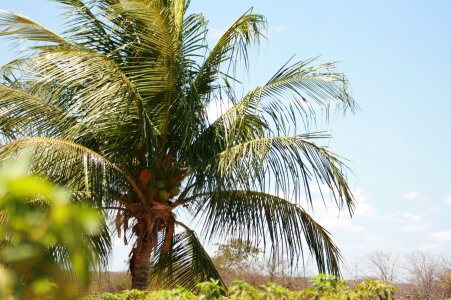 Aracaju beach afternoon