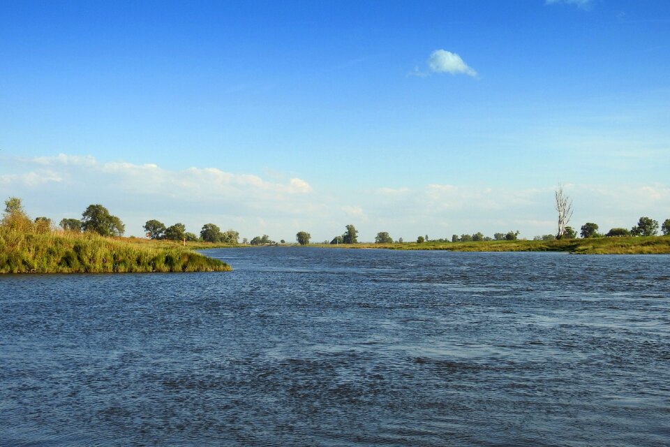 Bank water nature