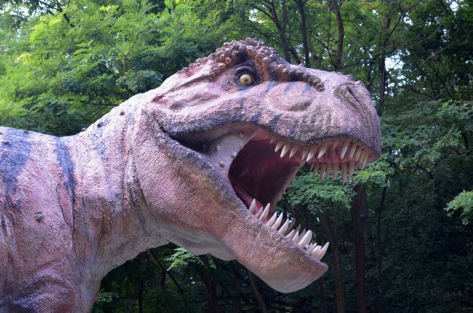 Tyrannosaurus rex rex dinopark