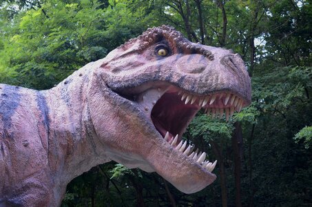 Tyrannosaurus rex rex dinopark photo