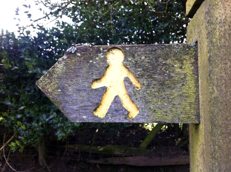 Outdoors nature man