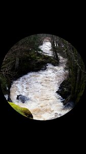Forest round photo effect