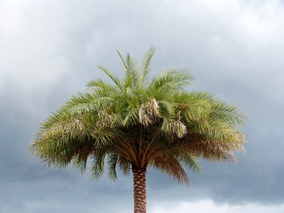 Stormy sky clouds nature photo