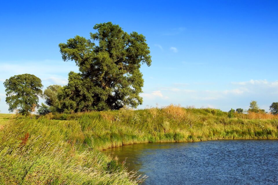 Bank waters river landscape