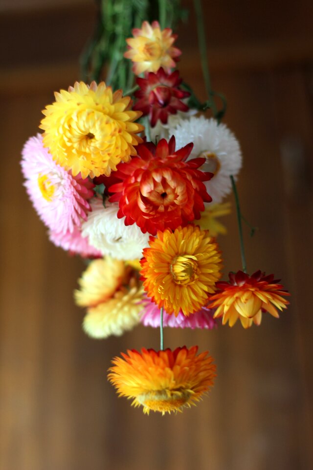 Dried flowers september bouquet