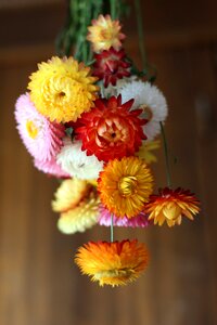 Dried flowers september bouquet