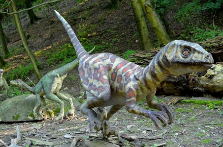 Dinosaur dinopark the prehistoric